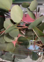 Stilvoll Wohnen mit Alexa Wohnen in Landshut