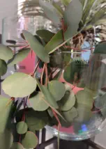 Stilvoll Wohnen mit Alexa Wohnen in Landshut